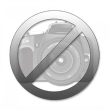 Заглушка Sim / серебристый для Sony Xperia Z3 (D6603)